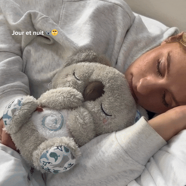 Koala Rêveur